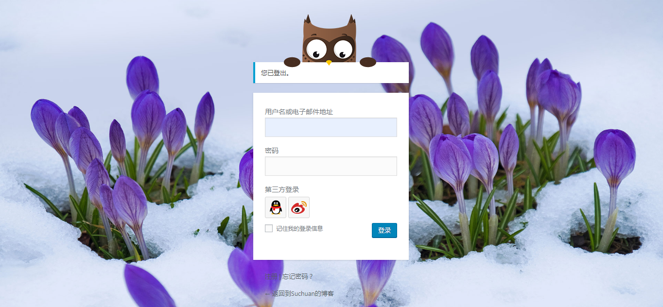 wordpress后台登录界面调用bing每日一图以及美化代码
